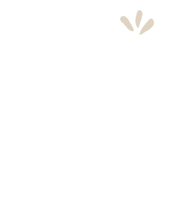 לוגו נגטיב